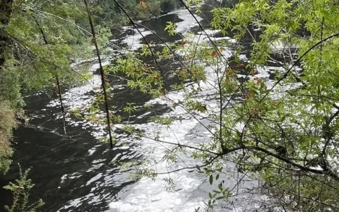 El río Bravo y la importancia de proteger nuestra fuente de agua